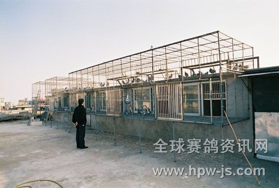楊人渠先生的鴿舍(二名母系的大本營)
