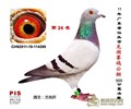 (yupei)